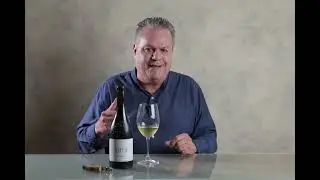Videocata Borsao Suia 2023