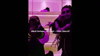 ODB ( Slowed) - Black Fortune/Lil dude