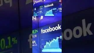 Mass Layoffs and Plummeting Stocks: Inside the 2023-2024 Tech Crash