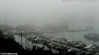 Brixfest in the fog