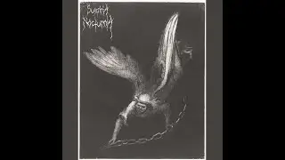 Suspiria Nocturna - Les yeux d&rsquo;un monde mort (2025) - 𝘌𝘗