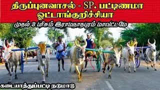 நடுமாடு கடையாத்துபட்டி||17/03/2021|| Nadumadu Kadiyathupptti Krish rekala race