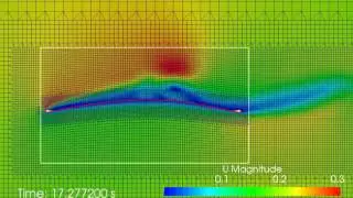 subsetMesh motion of a membrane wing simulated with OpenFOAM