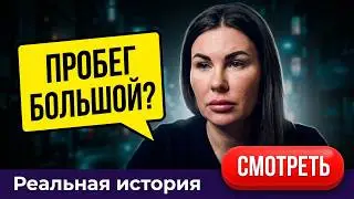 Чайка ищет жертву / Тот самый Санчо