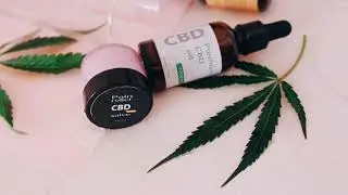 CBD NATIONAL - From the Field to the Sales Floor!