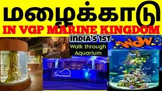 exploring rainforest in vgp marine kingdom | part-1video | #vgp #samviews #fishvideo | tamil