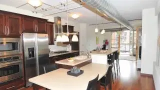River Renaissance Condominiums unit 206
