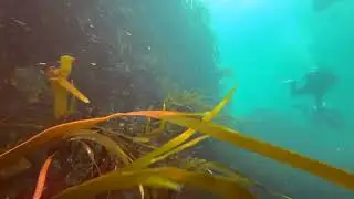 The Gully, Gurrig Island, Maharees, Kerry with Wicklow Aquanauts filmed by Brendan Moran