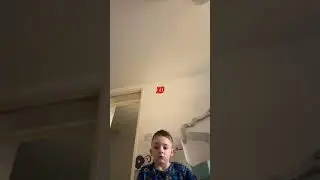 Dogp