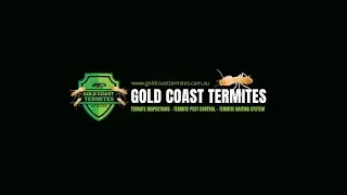 🐜 Gold Coast Termite Inspections 🐜  Termite Pest Control