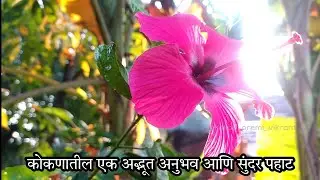 कोकणातील एक अद्भुत अनुभव आणि सुंदर पहाट|kokan premi vikrant
