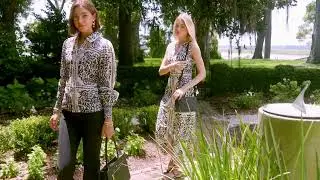 Spartina 449 | Fall/Winter 2025 Bridge Street
