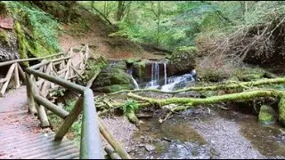 Traumschleife 