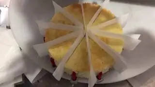 UFM1000P Round cake cutter with paper Divider Inserts