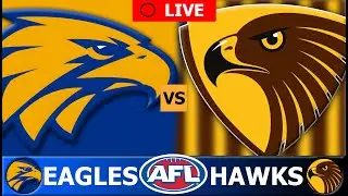 WEST COAST EAGLES vs HAWTHORN // 2024 AFL Round 16 Live Stream