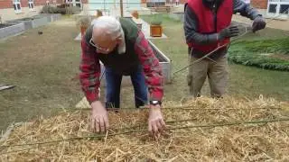 How to keep your Turnips Warm in the Winter