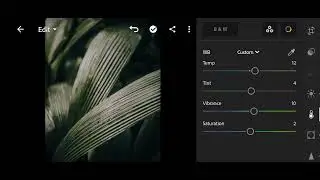 Moody Lightroom Preset / Free Moody Preset / Dark Presets / Dark Moody Preset Pack / Free Download