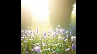 Forget Me Not
