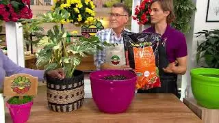 Roberta's Sungro 16 Qt_Natural & Organic Potting Mix on QVC