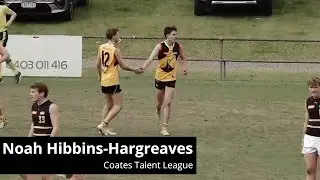 Noah Hibbins-Hargreaves - Talent League Round 14