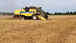 Żniwa 2020! New Holland CS6050 w akcji.