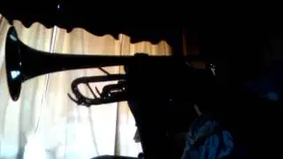 UGK cover(Diamonds and Wood)
