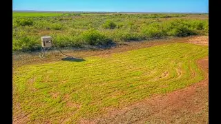 200 acre Hunting Ranch for sale in Childress County Texas - $240,000