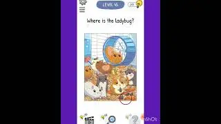 WHO IS? level 45 Where is the lady bug?