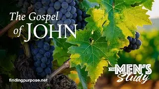The Men&rsquo;s Study - Witnesses to the Deity of Christ! | John 5:31-47 | John Sers | Week 11 | 1/06/2026
