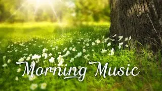 Soothing Morning Music For Street Relief & Positive Feeling - Beautiful Relaxing Piano Music
