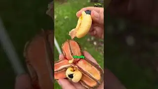 NEVER Eat These 5 Fruits the Wrong Way!