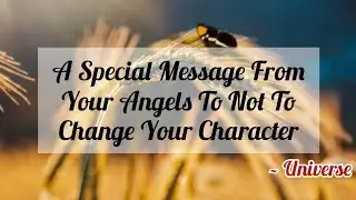 Someone very different is coming your way // Message From Universe 🌈🦋❤️