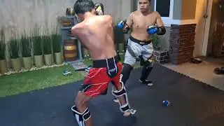 Shirtless MMA Highlights (26/12/2025)