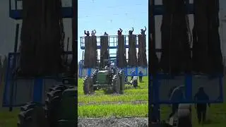 Hop Shoots Exposed! 🌾 | World&rsquo;s Costliest Crop 🤑 | Cancer Cure Plant 🧬 #shorts #facts