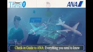 ANA check in guide Everything you need to know