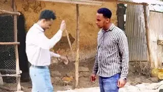 @ሰራተኛዋ #አደይ#ክፍል#191//#foryou #games #tranding #edit #shortsvideo #cat #dog  