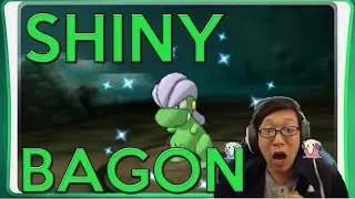 [LIVE] Shiny Bagon! 27 DexNav Encounters | Pokemon ORAS