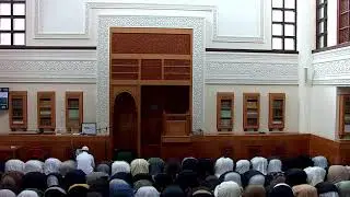 Almanaar is Live