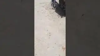 Ghotki ki aik anokhi aur laadli library...