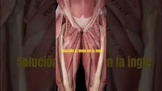 C&oacute;mo curar el dolor en la ingle (lesi&oacute;n de aductores)