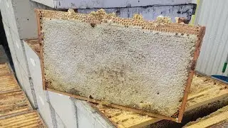 How do you fix Crystallized  HONEY?