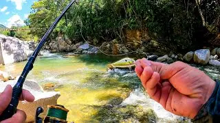 este rio esta repleto de GRANDES sabaletas