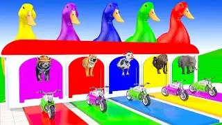 Long Slide Game with Cow Elephant Gorilla Hippopotamus Tiger 3d Animal Game Funny 3d Animals