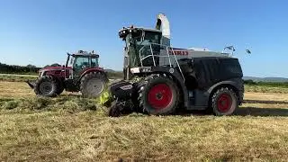 CLAAS JAGUAR 970-ODAM AGRI-Silage 2023