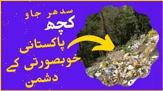 #siripaye Shogran Siri Paye | Cloudy Siripay Shogran|| Weather of Siripay Shogran| North Of Pakistan