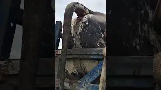 Fully Loaded Pickup || Muscular Bulls on Board ||
