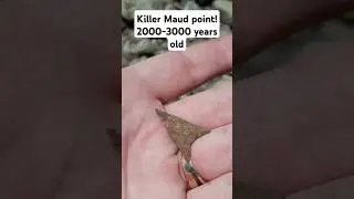 Archaic Maud Point find! #arrowheadhunting #arrowhead #artifacts #discovery #artifactdiscovery