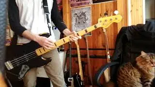 Not Scientists - I'm Just About Ready To Beg [Bass Cover]