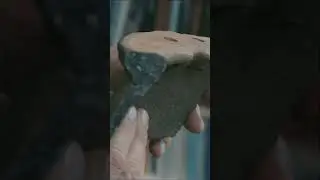 Cser&eacute;pbogr&aacute;cs a k&ouml;z&eacute;pkorb&oacute;l