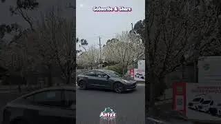 Spring Season in Melbourne, Australia 🇦🇺